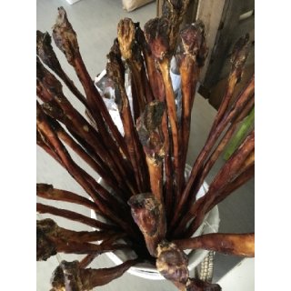 Ochsenziemer mit Fleischknolle