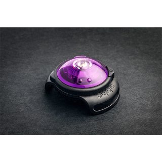 Orbiloc Dog-Dual Safety Light purple