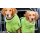 Fit4dogs dryup cape kiwi S