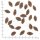 Wolfsblut Adult - Alaska Salmon | 500 g | 2 kg | 12,5 kg