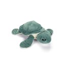 Schildkröte Daley
