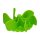 Eat Slow Live Longer - Gobble Stopper Green M