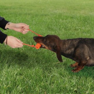 Dog Activity Long-Mot® mini, 10cm Naturgummi