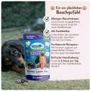Cold & Dog -  Belly Booster Heidelbeeren 120 g